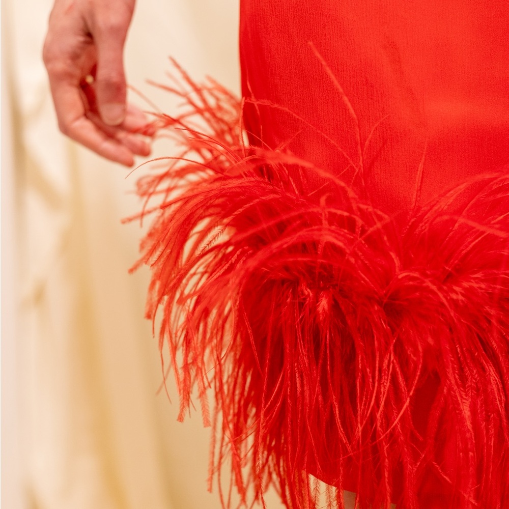 Red Feathered Dress